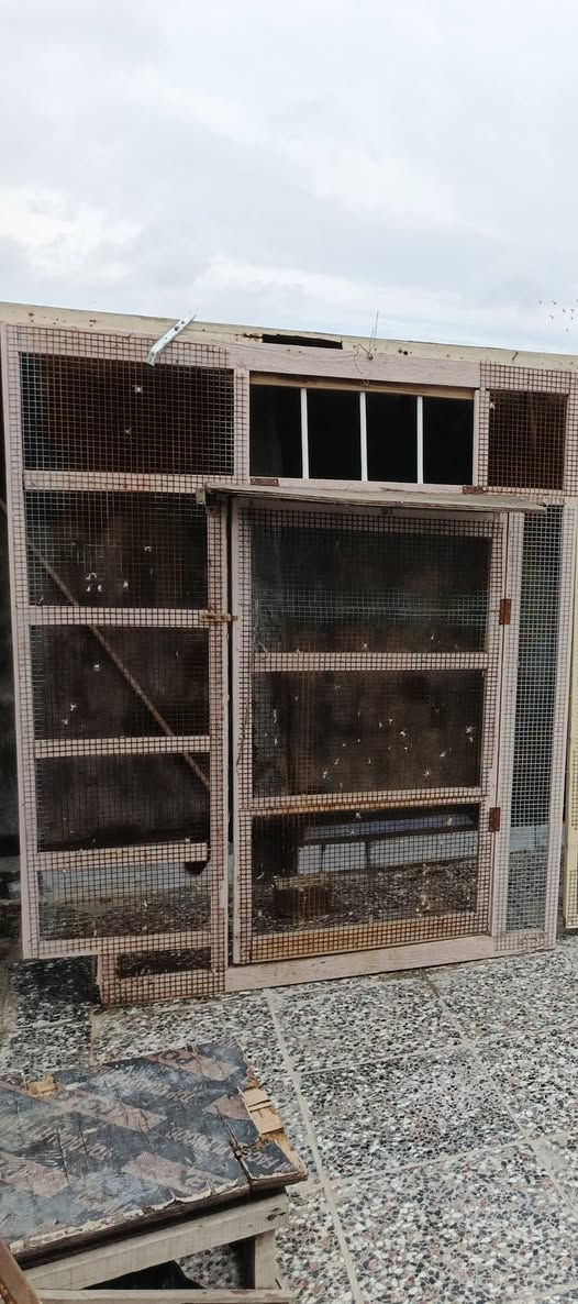 البيع بغداد مدينة صدر


**إذا كنت صاحب هذا الإعلان وتريد حذفه لأي سبب، رجاءا أرسل رسالة إلى الدعم الفني**