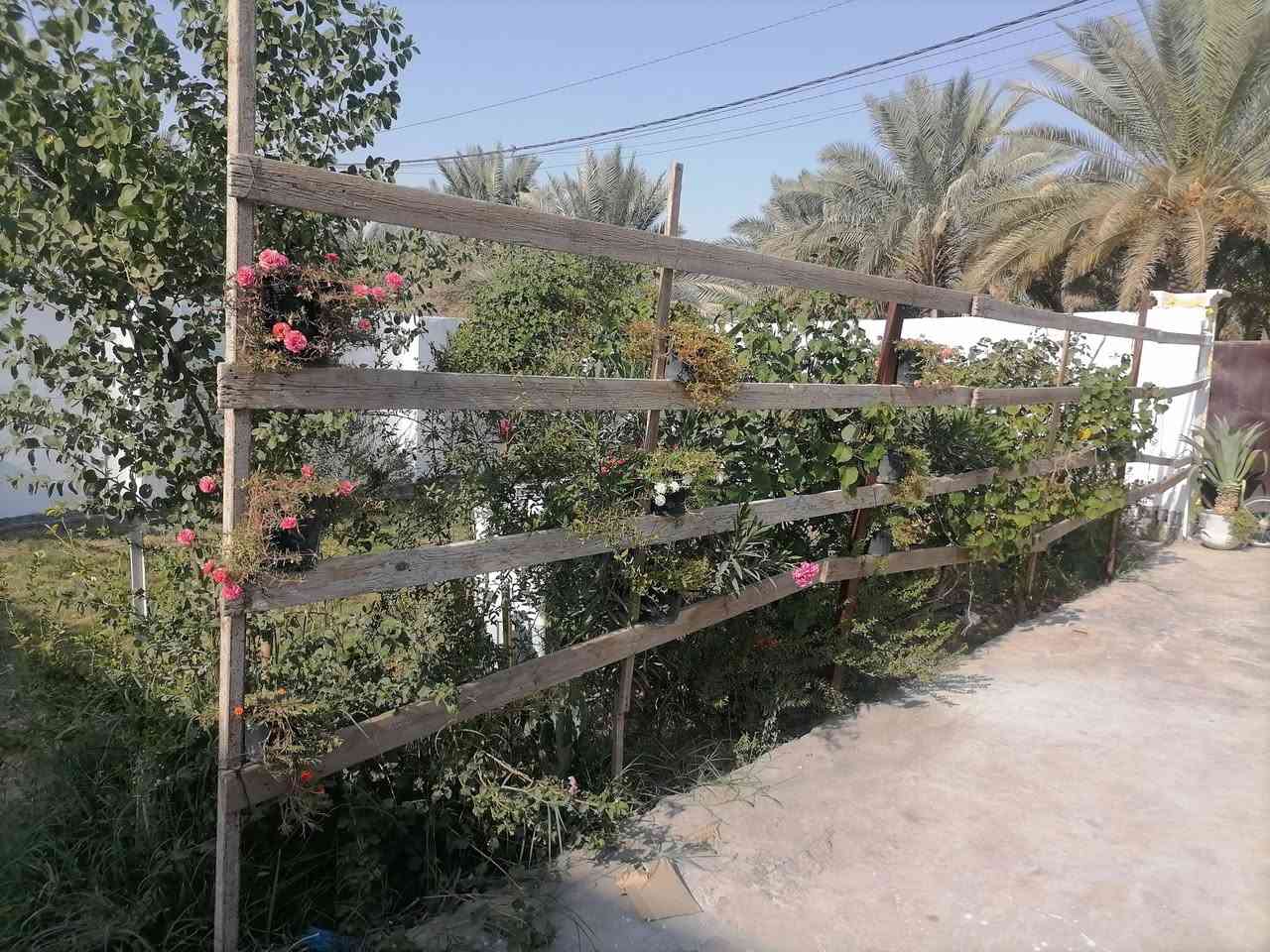 بيع او مراوس
(صاحب الدار) لا مكتب ولا مروج (مراوس يرهم) 
دار 500متر سند 25 ركن للبيع طابق ونص 3غرف نوم وصاله واستقبال ومطبخ وصحيات داخليه وخارجيه تحت البناء 180متر البناء بلوك السقف صب كونكريت
مكان كربلاء الحر قرب مدرسة الحسام
*********** واتساب
*********** يباع مع الأثاث
