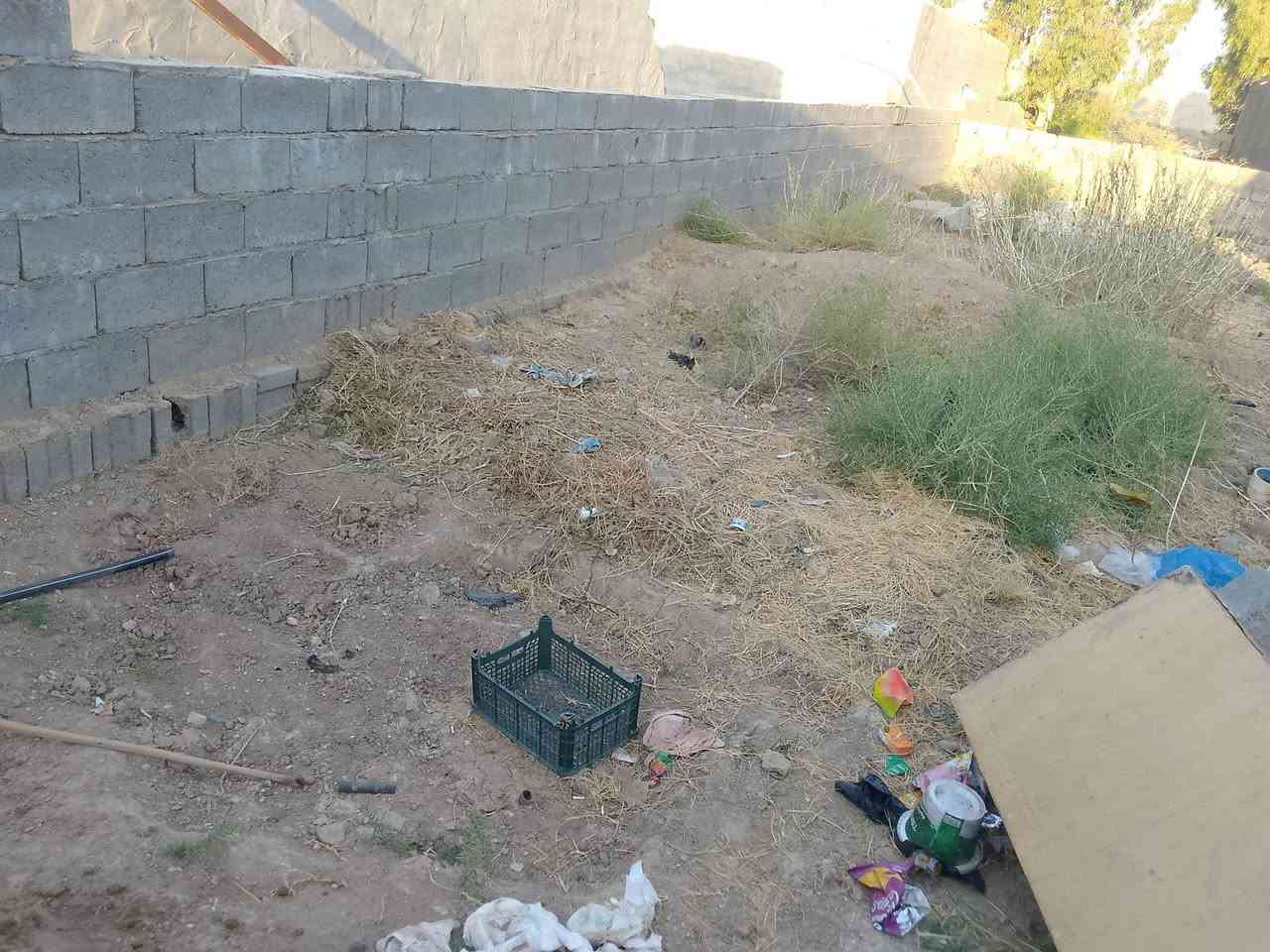 يوجد بلوك منظف مال تفليش للبيع التواصل على الرقم كميه بال 30,000 بلوكه ابيع واصل تواصل
***********

يوجد بلوك منظف مال تفليش للبيع التواصل على الرقم كميه بال 30,000 بلوكه ابيع واصل تواصل

