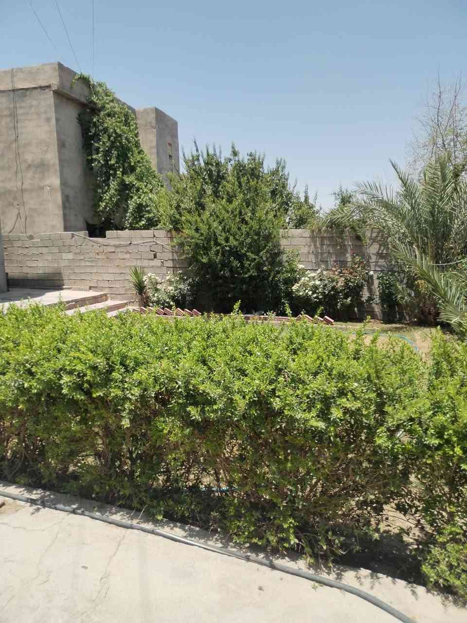 دار للبيع زراعي المساحه ٥٠٠ مساحة البناء ٢٠٠متر ٣غرف سراميك سقوف باقي تفاصيل اتصل قضاء العلم مجاور قاعة روتانا السعر 55
*********** عقار العلم
