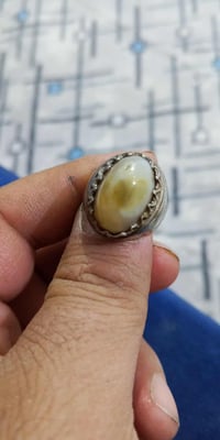 سليماني • عطف • مقاس ٢٥