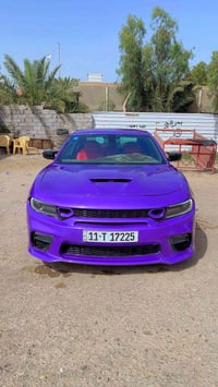 للبيع او المراوس  شعندك مراوس نزلها  07819373911
