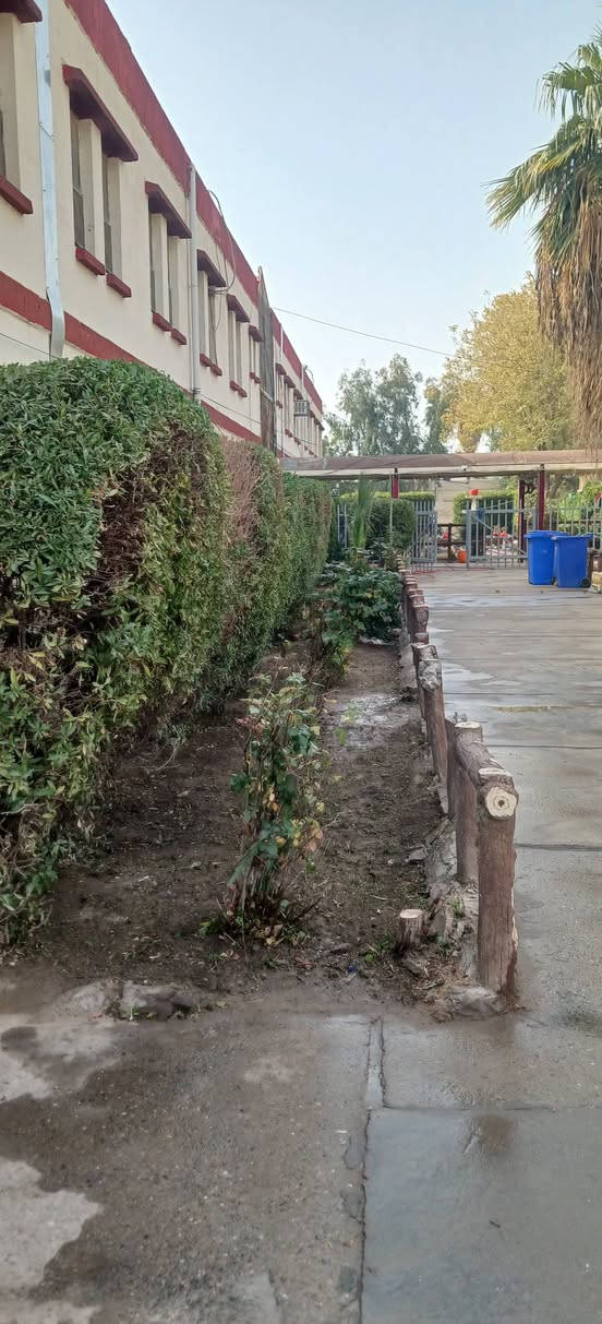 حارث الفلاح –🪄
🌿 خدمات الحدائق في بغداد 🌿

نقدّم جميع خدمات الحدائق  للمدارس والمنازل والمزارع:

قص وتنظيف الحدائق 🌱

تقليم الأشجار والشجيرات ✂️

ترتيب وزراعة الورود 🌸

قص الثيل الطبيعي  🍃

✨ شغل نظيف – أسعار مناسبة – التزام بالمواعيد

📞 للحجز والاستفسار:
*********** يتوفر  واتساب.
