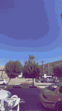 مراوس • بدون نطايح • للبيع