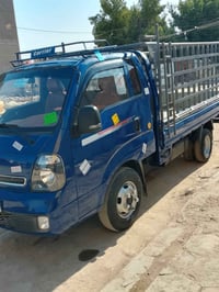 فحل حمل • موديل ٢٠١٨ • ميسان