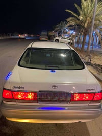 ملكه البيع وكله فقط   كصه قمار الاستفسار الرقم 07802623496