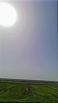 سكنر 850 • اوراق • ناحية الحمار