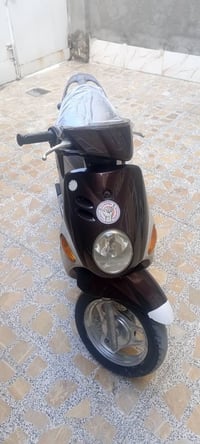 دراجة فلة • معدل فول • كوت خاجية