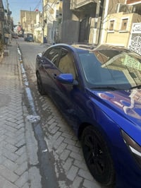 هوند انتره • ٢٠٢٣ • وارد امريكي