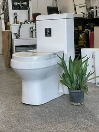 مقعد غربي • توتا أصلي • توصيل مجاني