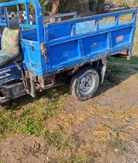 بدي مراوس • مكاني نعمانيه • واتساب