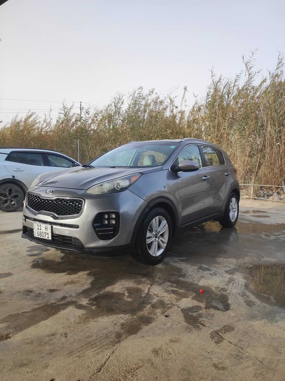 كيا سبورتج 18امريكي ضربه قليل جاملغ وربع بنيد بدون ضرر مكينه 2400جي دي سنويه جديده رقم دولي انكليزي رقم بغداد مشروع وطني ترهم بيع وترهم مراوس سعر 140ومجال بسيط السياره خير من الله ***********
