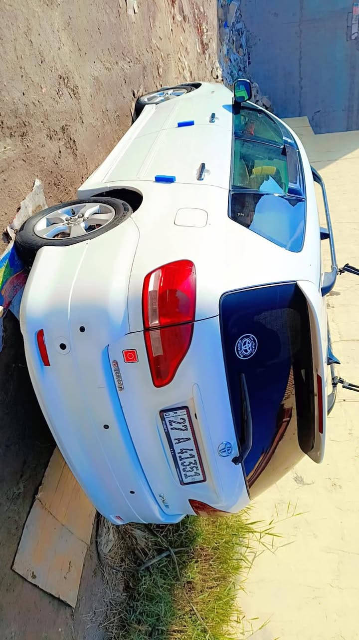 مكلف بل نشر
