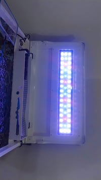 حوض ٤٩×٣٢×٥٩ • انارة ليد لونين • فلتر سقفي