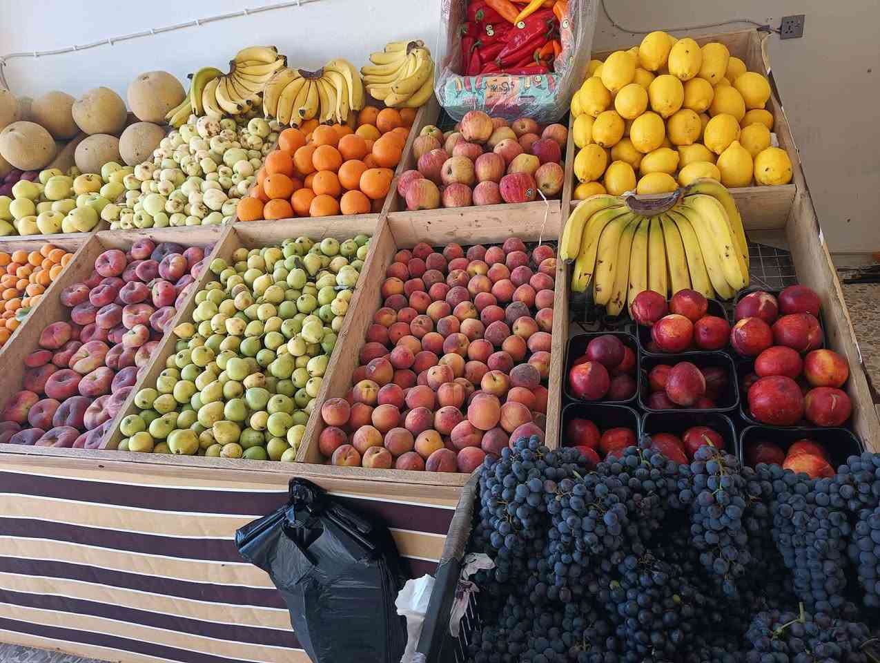 ( بسم الله الرحمن الرحمن )
وعلى بركة الله تم افتتاح محل فواكه و خضروات النور ..
لبيع كافه انواع الفواكه 🍊🍒🍓🍎والخضروات 🍅🫑🥦🫒
كلشي متوفر داخل المحل والاسعار جداً مناسبة 
عنوان موقعنا الموصل #حي التعليم داخل #مجمع النور السكني الكائن على شارع 20 بعد ماركت الوسيم او بعد دورة التعليم قبل فرع غرفة التجاره .
يوجد لدينا خدمه توصيل ..
متوجدين من الساعة الثامنة صباحاً الى الساعة اثناعشر مساء 
 زورونا واتنورونا بادارة ( ابو يمان )

وحياكم الله كل الهلا بيكم 💫💫 ..


**إذا كنت صاحب هذا الإعلان وتريد حذفه لأي سبب، رجاءا أرسل رسالة إلى الدعم الفني**