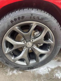 مراوس • بيول 18 • البصرة