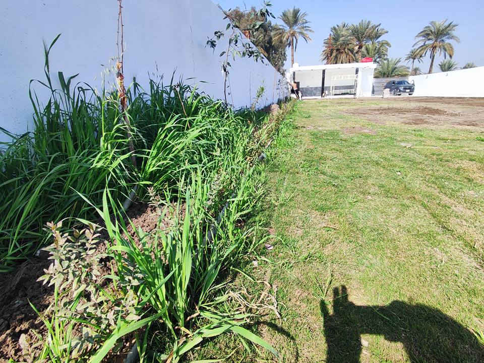 استراحه للايجار اليومي او شاليه استراحه للايجار اليوميه السعر 80 عدا يوم الجمعه هنالك مسبح كبير الكبار والصغار اخر هنالك غرف عديده ومطبخ وصحيات 
***********
الكوفه النجف حي الصوب الصغير النجف, العراق
