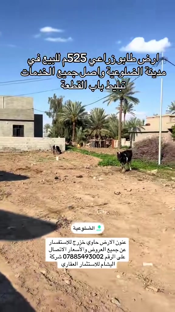 للبيع العاجل فرصة 
ارض طابو زراعي سكني في مركز مدينة الضلوعيه حاوي خزرج جميع الخدمات واصله مساحة الارض 525 متر للاستفسار ***********

