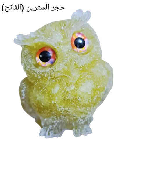 🦉 مجموعة من البومات (بوم)الجميلة المصنوعة من الأحجار الكريمة ، قطع فنية مناسبة لديكور المنزل، وتضيف لمسة طاقة إيجابية بكل زاوية 🌿✨
الأحجار المستخدمة:
(فيروز – روز كوارتز – جمشت – شاكرات – تايگر – سترين غامق – سترين فاتح – أكوامارين – جاد أخضر – حجر القمر – الطاووس – مرجان + أونكس)

✦ تصميم أنيق، ألوان جذّابة، وجودة عالية في كل قطعة.

#السعر_15_فقط_للقطعة_الواحدة_توصيل_مجاني_لجميع_المحافظات.
للطلب والاستفسار… مراسله الصفحه او رقم الواتس اب *********** 🌸
#العراق 
 #متابعين #جواهر #احجار_كريمة
#اكسسوارات #معلقين #ابرز_المعجبين
