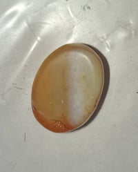 سليمانيه • معطف • سعر خاص