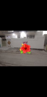 اول طابو صرف زراعي سند 25 قابل للتطويب   موقع   نادر الثالثه التاجيه ق...