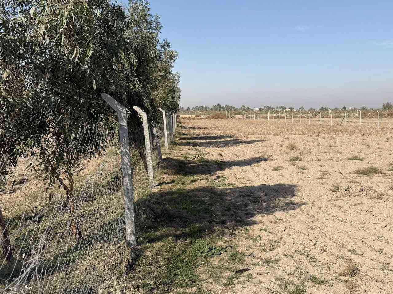 🌟 للبيع أراضي طابو زراعي سند 25 🌟
المساحة: دونمين ونصف
الواجهة: 65
سنتر على التبليط الفرعي 
الخدمات: كافة الخدمات متوفرة
العنوان: طريق حلة نجف قرب البوابة
للاستفسار: ***********

🔥 فرصة استثمارية ممتازة! لا تفوتها! 😍
