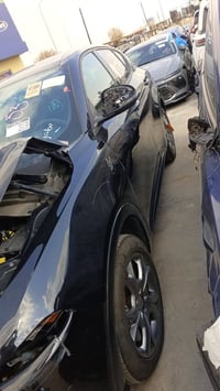 دوج هورنيت • ٢٠٢٤ • عمان الحره