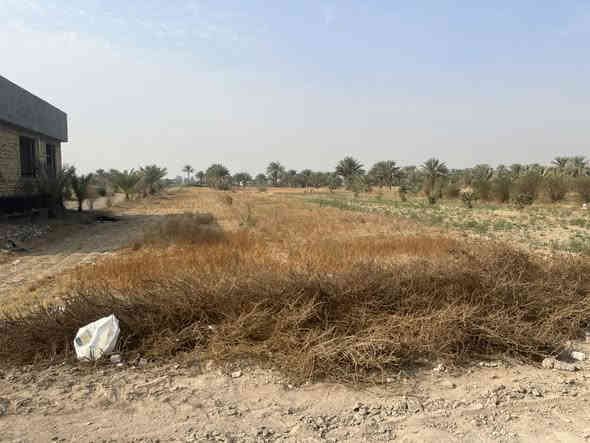 يا الله السلام عليكم دونم للبيع 
سند 25مداور مباشر بااسم المشتري دونم حلو وموجهه

يبعد عن الشارع الرابط بشارع 100 وشارع بزل حجي علي حوالي 500متر النزله تبليط مالته متوفر ماء وكهرباء 

الدونم يصلح سكن 🏡

ويصلح زراعه 

ويصلح مخزن 

شارع عرضه 14متر 

استسفار اكثر الاتصال على الرقم ***********

