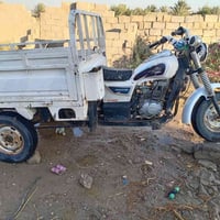دايون • ١٥٠ • مكفول
