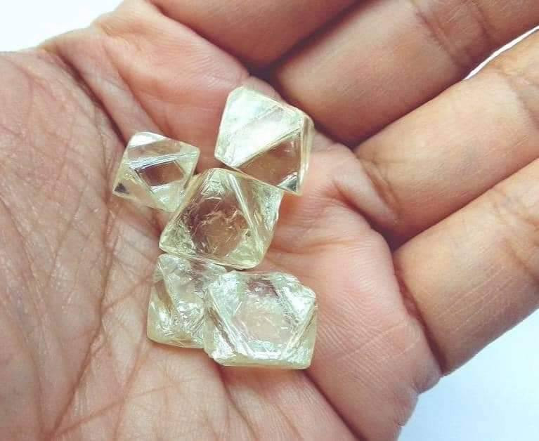 Natural rough diamond
Vvs1
300 usd per ct mines kono
Worldwide shipment


**إذا كنت صاحب هذا الإعلان وتريد حذفه لأي سبب، رجاءا أرسل رسالة إلى الدعم الفني**