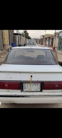 راعيه موجود • انتبه • البصرة