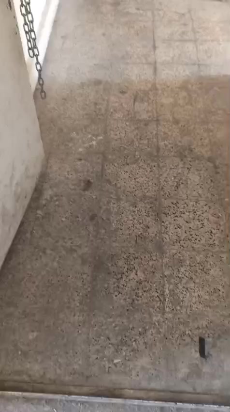 سلام عليكم شقة للايجار في السعدون شارع سميرة ميس شبابيه اجارهه 300ودلاليه 100تواصل ***********
