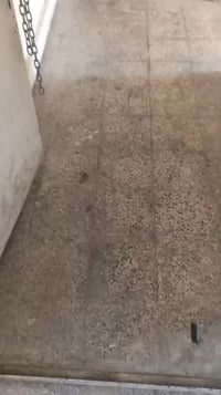 شارع سميرة ميس • غرفتين • شبابية