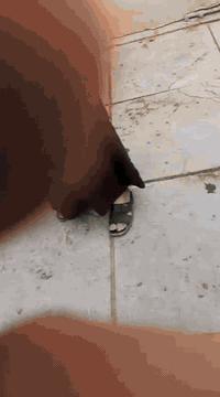 السلام عليكم بيت للبيع في شارع نفط مساحته 267 هذا رقمي  ***********
