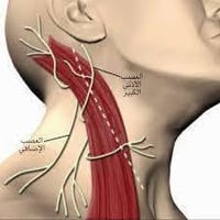 عيادات بناز • العلاج الطبيعي • خانقين