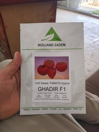 طماطة غدير • مبكر • خشنة