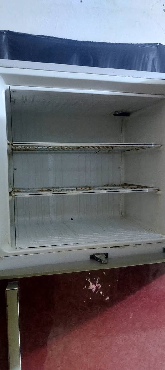 السلام عليك ثلاجه شغله وعلى فحص تفحص يله تاخضه 
26 قدم للبيع السعر 140 وبيه مجال قليل 
مكاني نجف شارع المطار مقابيل باب الخروج 
***********
