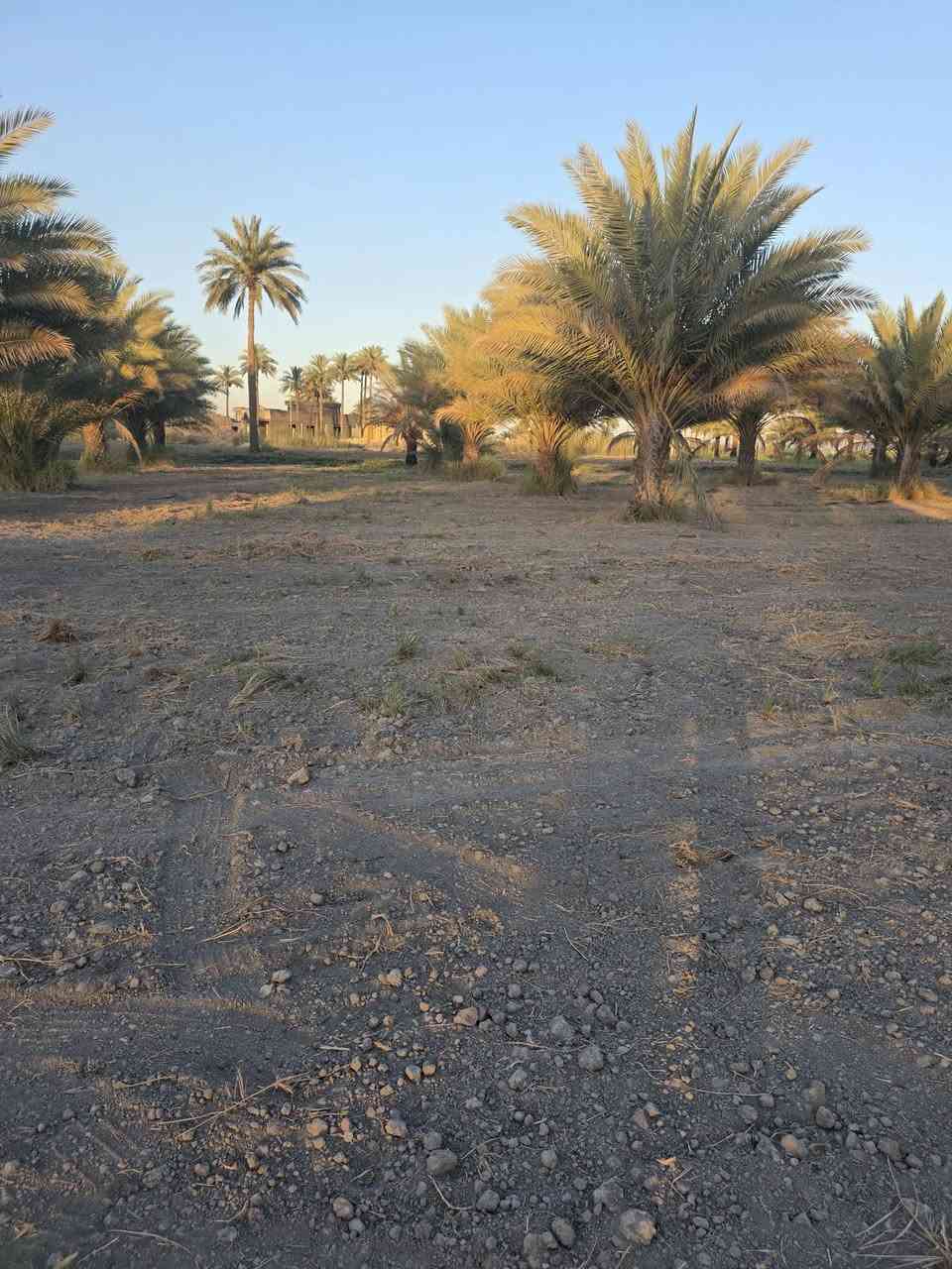 للبيع  ارض موقع مميز
دونمين المساحه 5000متر طابو زراعي سند 25  
متوفره جميع الخدمات السكن  نهر سقي لاينقطع شتاء وصيف كهرباء وماء اساله ومولد ذهبي وكذالك نخيل متعدد الأصناف 
الموقع المحاويل قريه البوعلوان شارع ابوالطياره  قرب جامع البتول 
علما يتععهد البائع ان العقار خارج جميع المحرمات 
للأستفســـــــار الاتصال على الأرقام التأليه 

***********

***********

او زياره مكتب المحامي العقاري علي راجي العلواني الكائن المحاويل مدخل حي 17 قرب فينيسا
