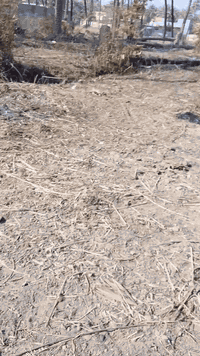 اخوان اني مكلف بالنشر وهذا رقم صاحب الأرض أبو محمد 07721771643