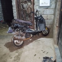 زنبور • دراجه ناريه