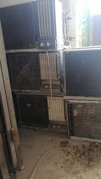 شراء السبالت • كربلاء والاطراف • خدمة نقل