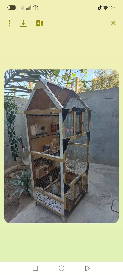 مكلف بالنشر قفص كناري للبيع السعر 40.. الف بيه مجال بصيط،المكان فلوجه تواصل خاص


**إذا كنت صاحب هذا الإعلان وتريد حذفه لأي سبب، رجاءا أرسل رسالة إلى الدعم الفني**