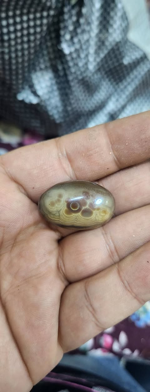 السلام عليكم مجمومة  طبيعي ذمه سعر شلع 20الف مع توصيل الحجز والتواصل *********** موجود توصيل كل المحافظات
