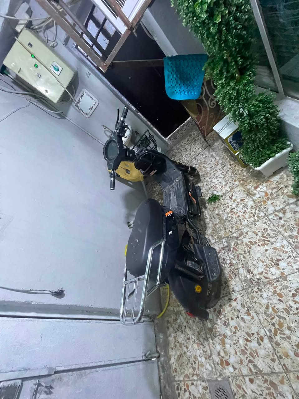 سلام عليكم دراجه شحن للبيع صالها شهرين من شتريتها يعني بطاريه بعدهن جدد اخذتها ب ٧٢٠ والله ومعتاز اريد أبيعها سعر ٤٠٠ بيها مجال عنوان بغداد زعفرانيه ودارجه كامله شغاله


**إذا كنت صاحب هذا الإعلان وتريد حذفه لأي سبب، رجاءا أرسل رسالة إلى الدعم الفني**