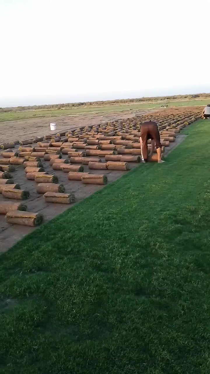 الطلب ***********
