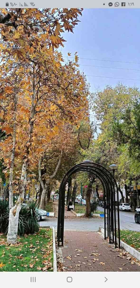 رحله راس السنه الى مدينه ايلام الجميله مع حمله الحاج هاشم الكناني السعر١٠٠الف عراقي نقل مع سكن فقط راسلوناواتساب
***********
***********
