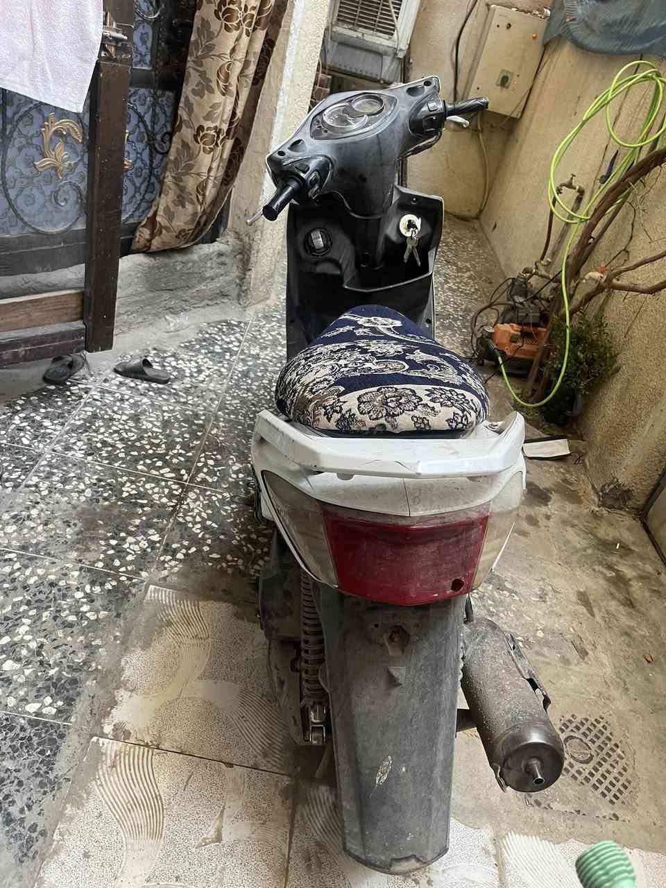 السلام عليكم دراجه سكنس فحل للبيع السعر 500وبيه مجال دراجه نضيفه كلشي مابيه مكانه الكريعات للتواصل ***********
