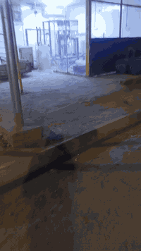 السلام عليكم محطه مي ارو للبيع العنوان كوت حي الزهراء السعر 2500 وبيهه مجال
***********
