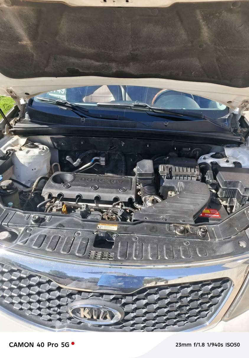 البيع سورنتو  كويتي فول مواصفات واحدعلاواحد تحكمات استير مري شفط اشاير بل مريم اضاه داخليه قماره بني رامه وفتحتين سبعة راكب ثلث قطع تبريده مكينه ٢٤٠٠دوش إستوني شاده حاويه كشنات كهرباي بصمات أبواب وبعد به مواصفات بابل الشوملي ***********و٠٧٨٣٨٧٩٦٩٣بيه واتساب
