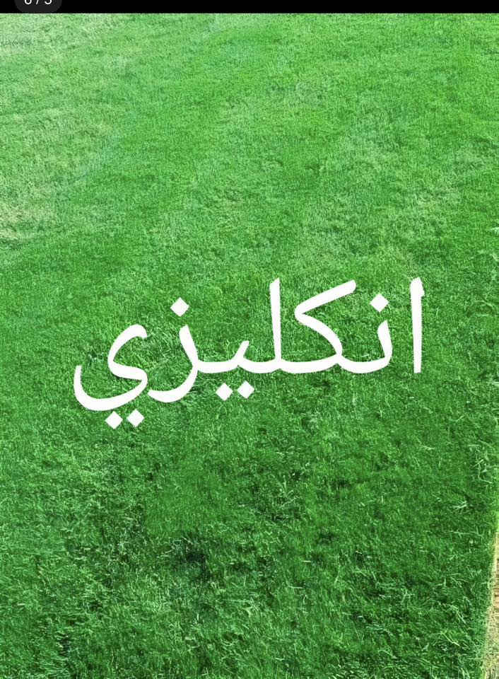 ثيل ديالى 🍀 متوفر كافة انواع الثيل
الثيل امريكي والهندي و الثيل الايطالي و الثيل الفرنسي
كادر متخصص :
لتجهيز... مشاتل🌴
والدوائر الحكوميه🏦
المنازل🏡 المنتزهات🏄
موجود خدمة توصيل 🚕
لكل محافظات العراق🚕
للأستفسار 
***********
